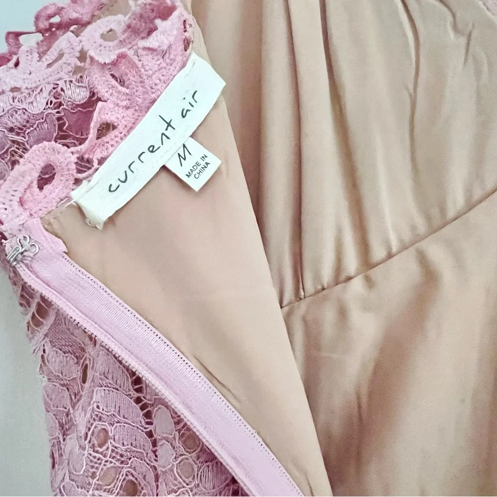 Current Air Affair Pink Lace Dress - Picture 15 of 16